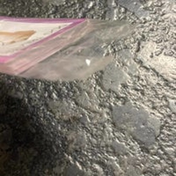 Rare Parker Brothers Monopoly Dog Lovers Edition - Picture 11 of 11